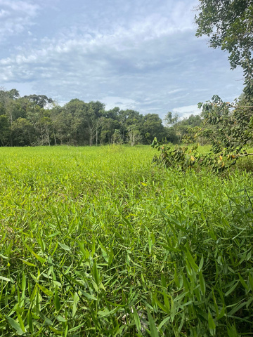 Área estudada para lago em Boa Vista da Aparecida