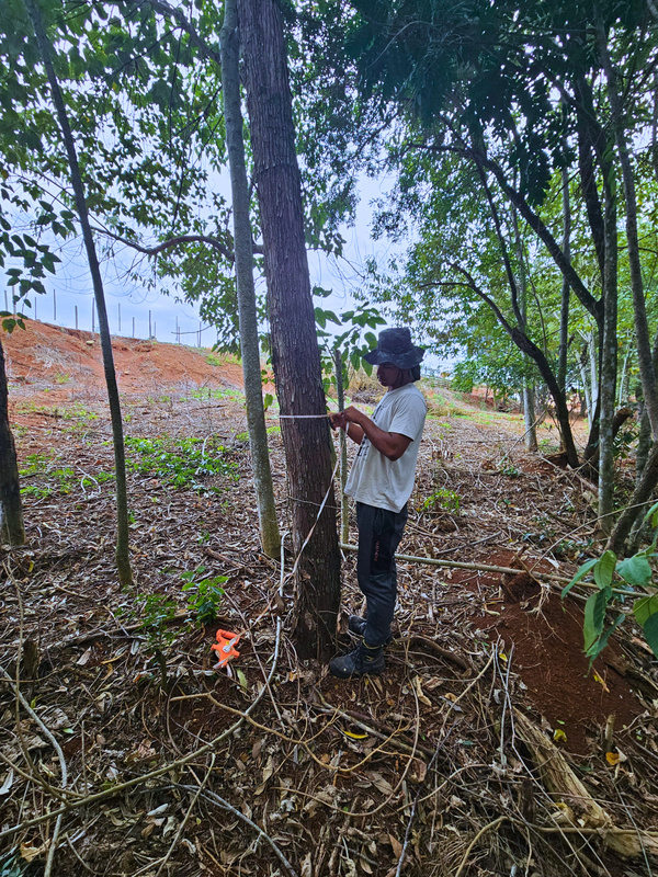 Trabalho de campo para licenciamento em Concórdia